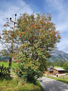 Fotografie z mmecki na trase