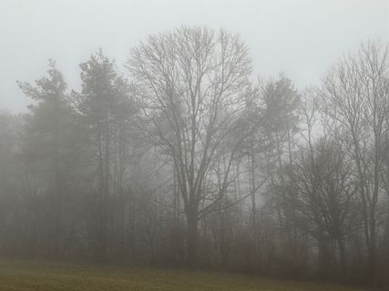 Fotografija s spletne strani Norbert Herbig na poti