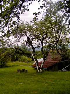 Foto von Kellner Heidi entlang der Tour