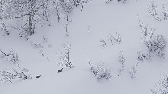 Photo de Harald le long du parcours