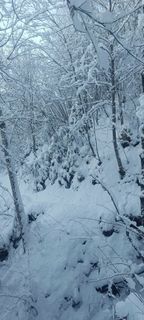 Foto von Anna entlang der Tour