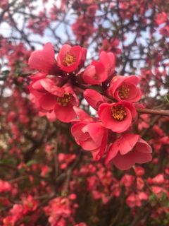 Foto de Kellner Heidi a lo largo del recorrido