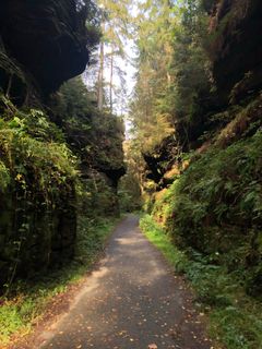 Foto von Jutta Loesenbeck entlang der Tour