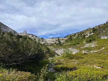 Foto de Norbert Herbig a lo largo del recorrido