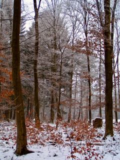 Fotografie z Kellner Heidi na trase