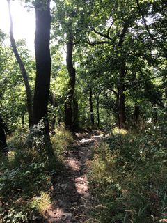 Photo de Christian Kakuska le long du parcours