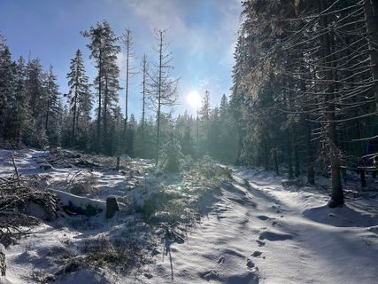 Photo de Norbert Herbig le long du parcours