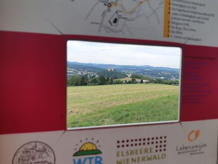 Foto de mmecki a lo largo del recorrido