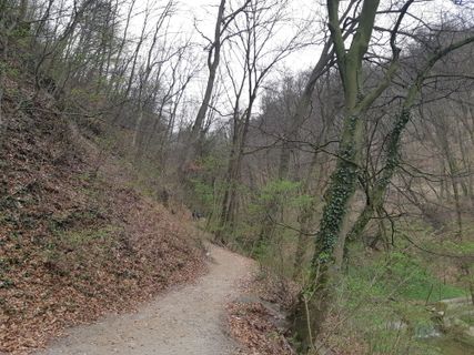 Foto von mmecki entlang der Tour