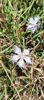 Fotografija s spletne strani Gabriele Cucchi na poti