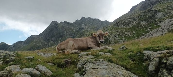Zdjęcie z Gabriele Cucchi wzdłuż trasy