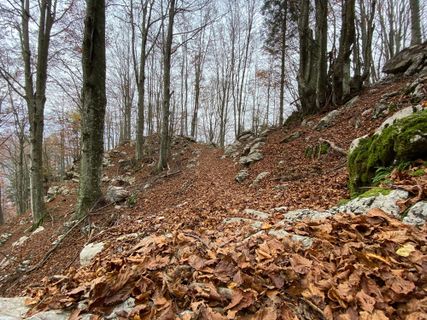 Fotografia z Fabio Infanti na trase