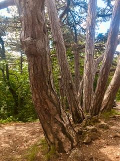 Fotografie z Kellner Heidi na trase