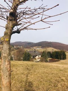 Fotografija s spletne strani Kellner Heidi na poti