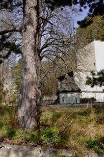 Fotografie z Kellner Heidi na trase