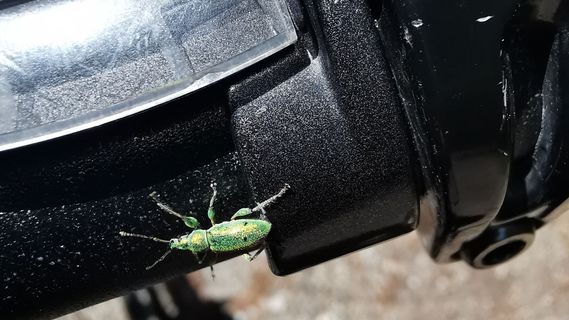 Foto von Bernd Schmitt entlang der Tour