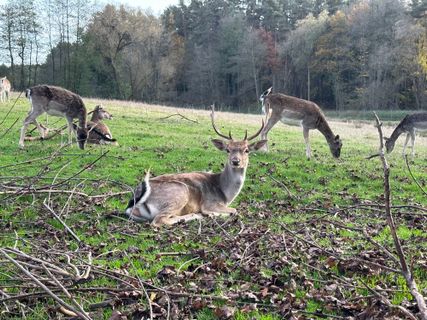 Fotografija s spletne strani Norbert Herbig na poti