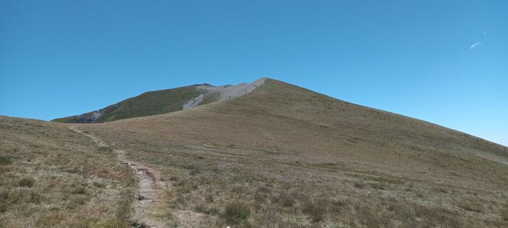 Fotografija s spletne strani Gabriele Cucchi na poti