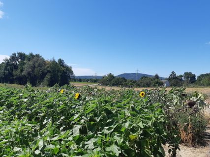 Foto von mmecki entlang der Tour