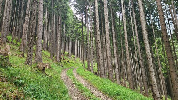 Zdjęcie z Bike Rider wzdłuż trasy