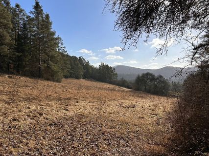 Zdjęcie z Norbert Herbig wzdłuż trasy