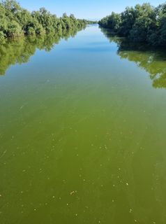 Foto von KurtStotter entlang der Tour