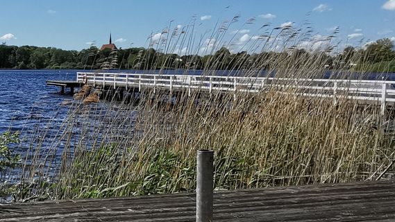 Foto de Bernd Schmitt a lo largo del recorrido