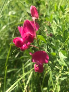 Foto de Kellner Heidi a lo largo del recorrido