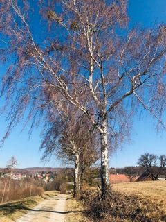 Fotografie z Kellner Heidi na trase