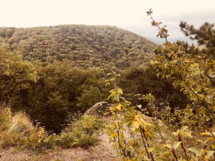 Foto von Kellner Heidi entlang der Tour
