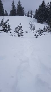 Photo de Harald le long du parcours