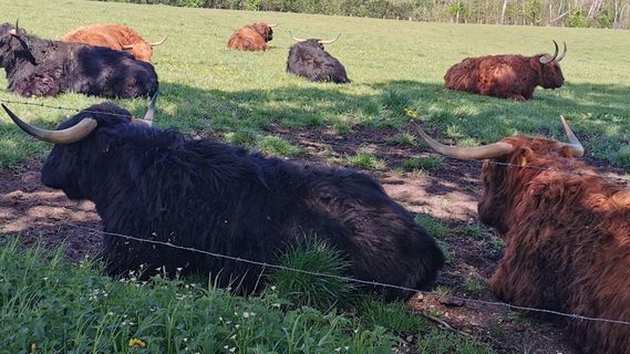 Foto de Bernd Schmitt a lo largo del recorrido
