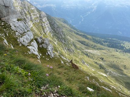 Foto de Fabio Infanti a lo largo del recorrido