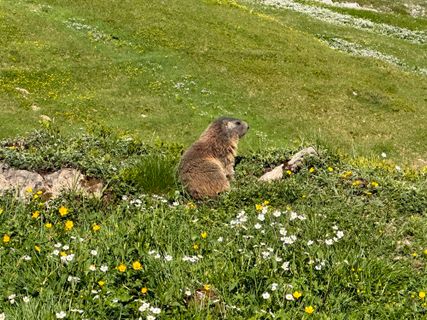 Foto von Norbert Herbig entlang der Tour
