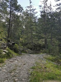 Foto von joergen entlang der Tour