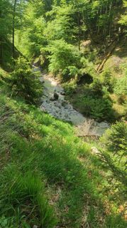 Foto von Michael entlang der Tour