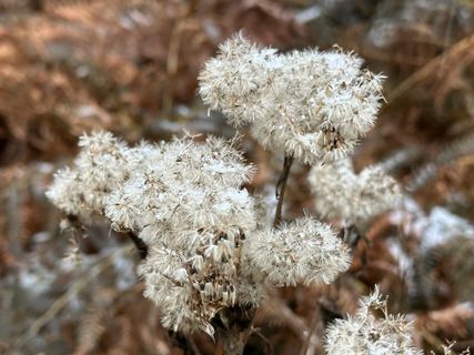 Foto von Norbert Herbig entlang der Tour