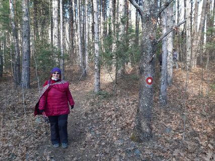 Foto von Sase Dinev entlang der Tour