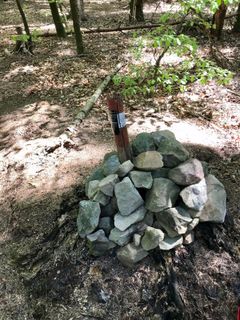 Foto de Kellner Heidi a lo largo del recorrido