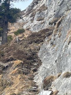 Foto von pedaklaus entlang der Tour