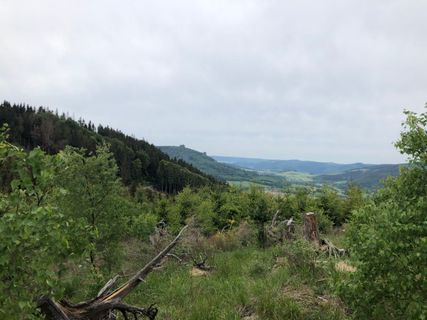 Fotografie z Christian Schulz na trase