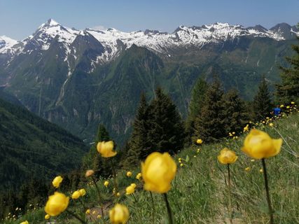 Foto von Hermann Gruber 1 entlang der Tour