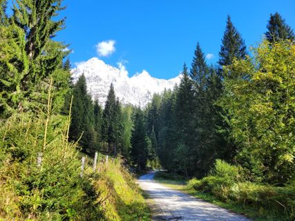 Photo de mmecki le long du parcours