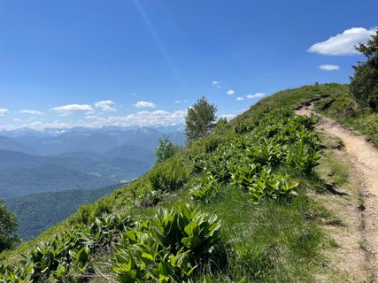 Foto von Simone Maier entlang der Tour