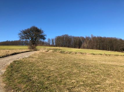 Fotografia z Barbara Schober na trase