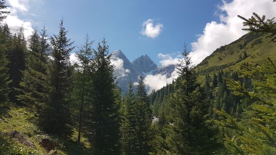 Foto von Tor Fich entlang der Tour
