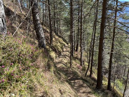 Foto von Fabio Infanti entlang der Tour