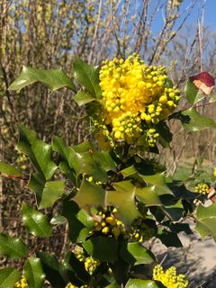 Foto von Kellner Heidi entlang der Tour