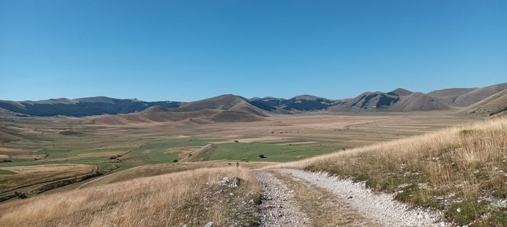 Fotografija s spletne strani Gabriele Cucchi na poti