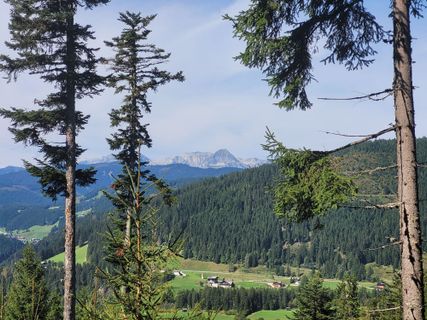 Photo de mmecki le long du parcours